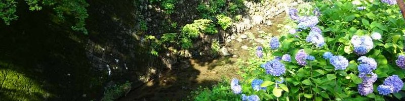 鶴ヶ島