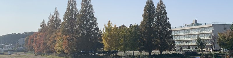 東秩父