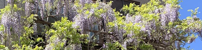 東秩父